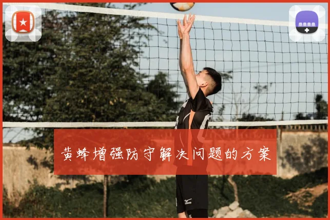 黄蜂增强防守解决问题的方案